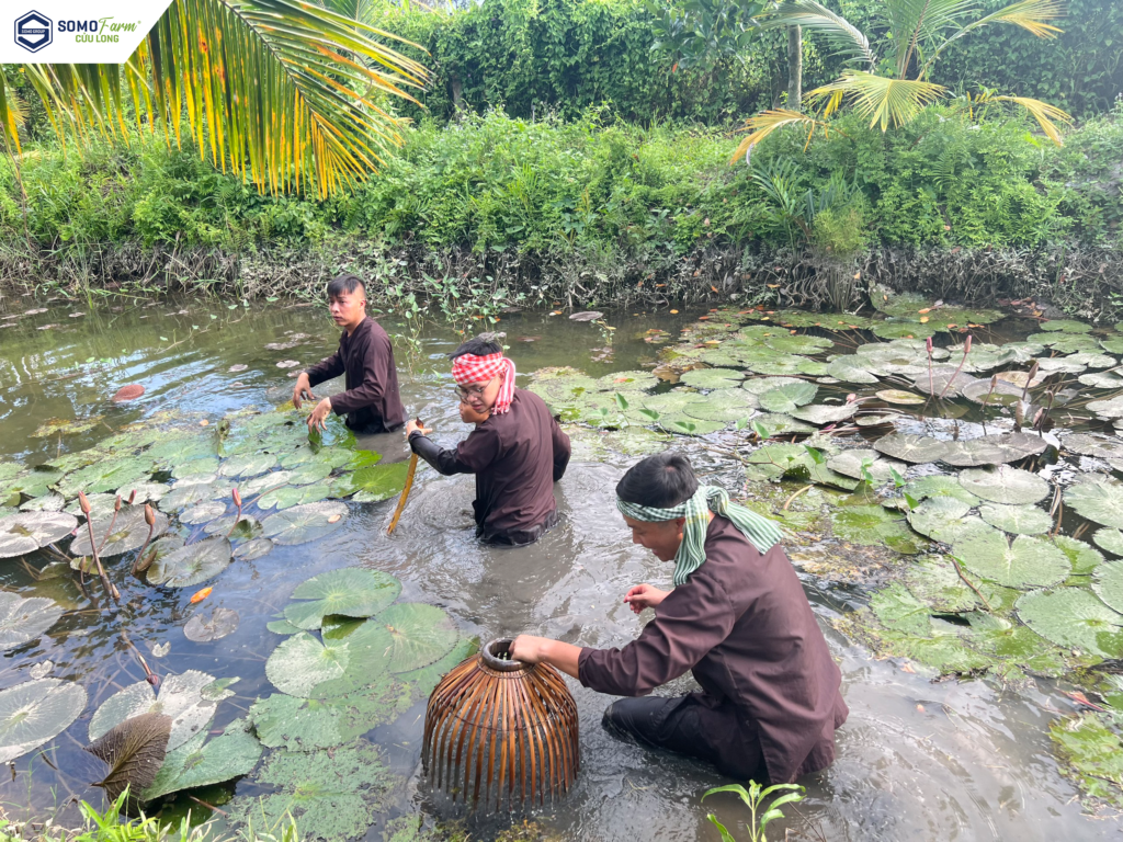 Hoạt động đánh bắt cá