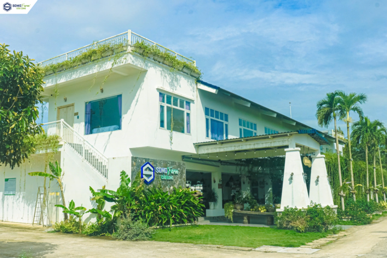 Somo Farm Cửu Long