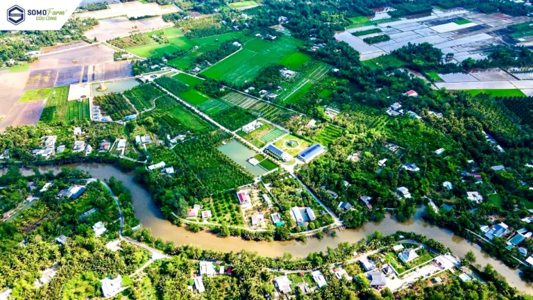 Toàn cảnh Somo Farm Cửu Long