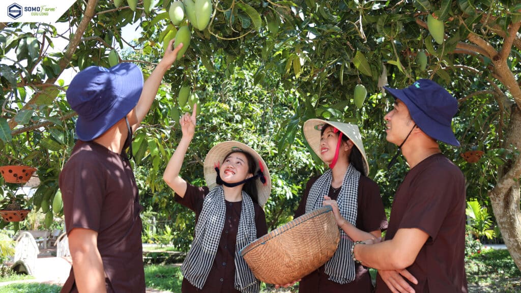 Nông nghiệp xanh tại Somo Farm Cửu Long