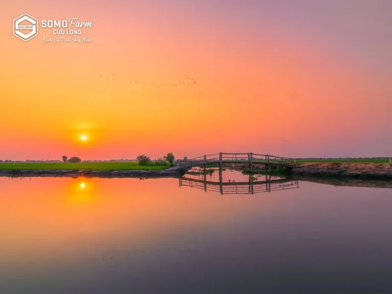 Một chuyến du lịch gần Sài Gòn