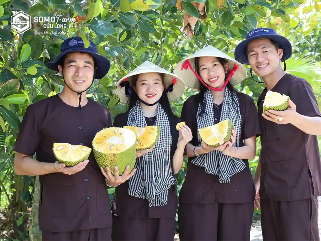 Trải Nghiệm Du lịch sinh thái Vĩnh Long