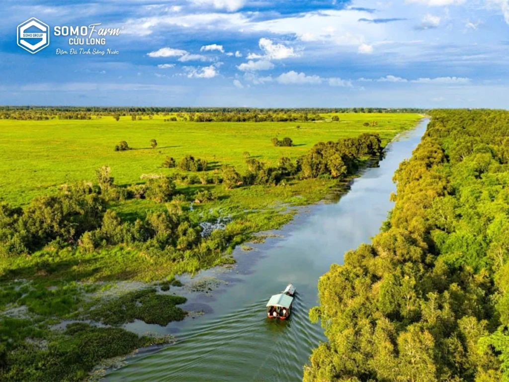 Du lịch gần sài gòn: Đồng Tháp