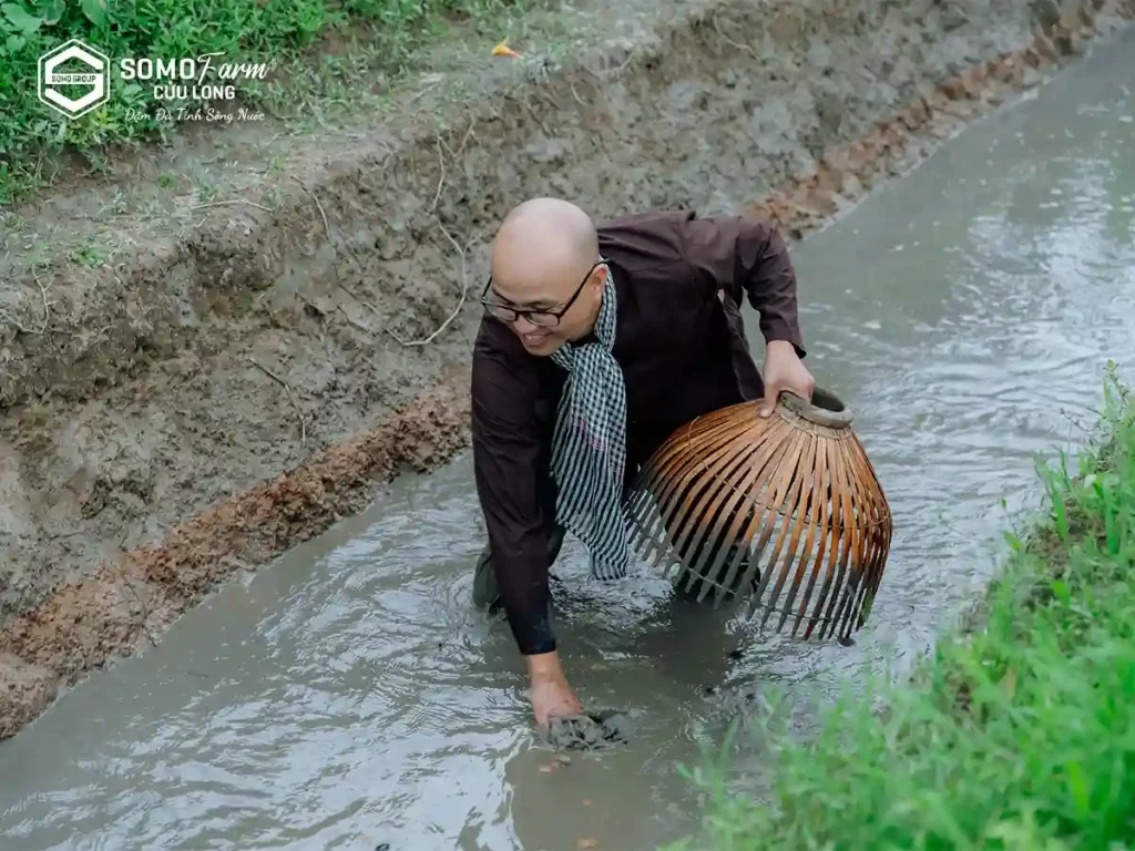Tát mương, câu cá, bắt cá​