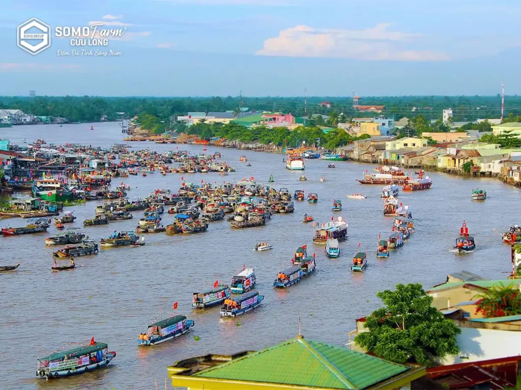 Du lịch gần sài gòn: Cần Thơ
