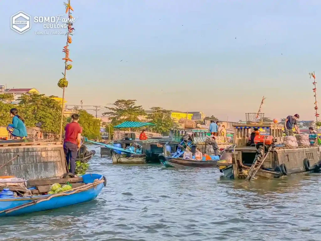 Chợ nổi Trà Ôn Vĩnh Long​ - Du lịch sinh thái Vĩnh Long