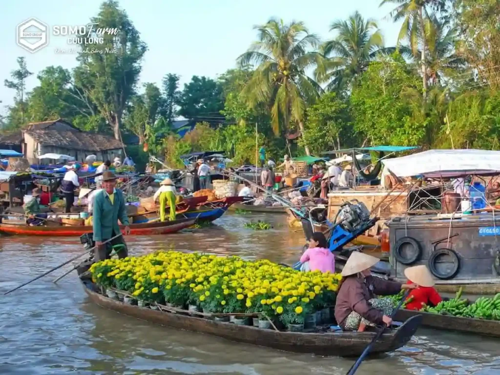 Chợ nổi Trà Ôn Vĩnh Long​ - Du lịch sinh thái Vĩnh Long