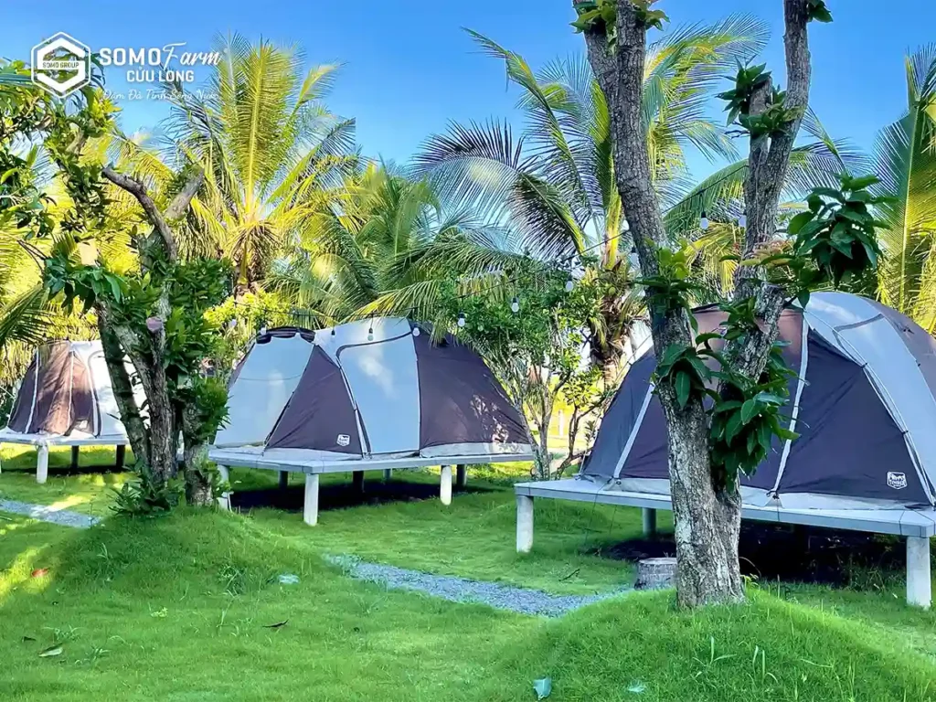 Lều Trại Dã Ngoại Glamping - Du lịch Sinh Thái Vĩnh Long