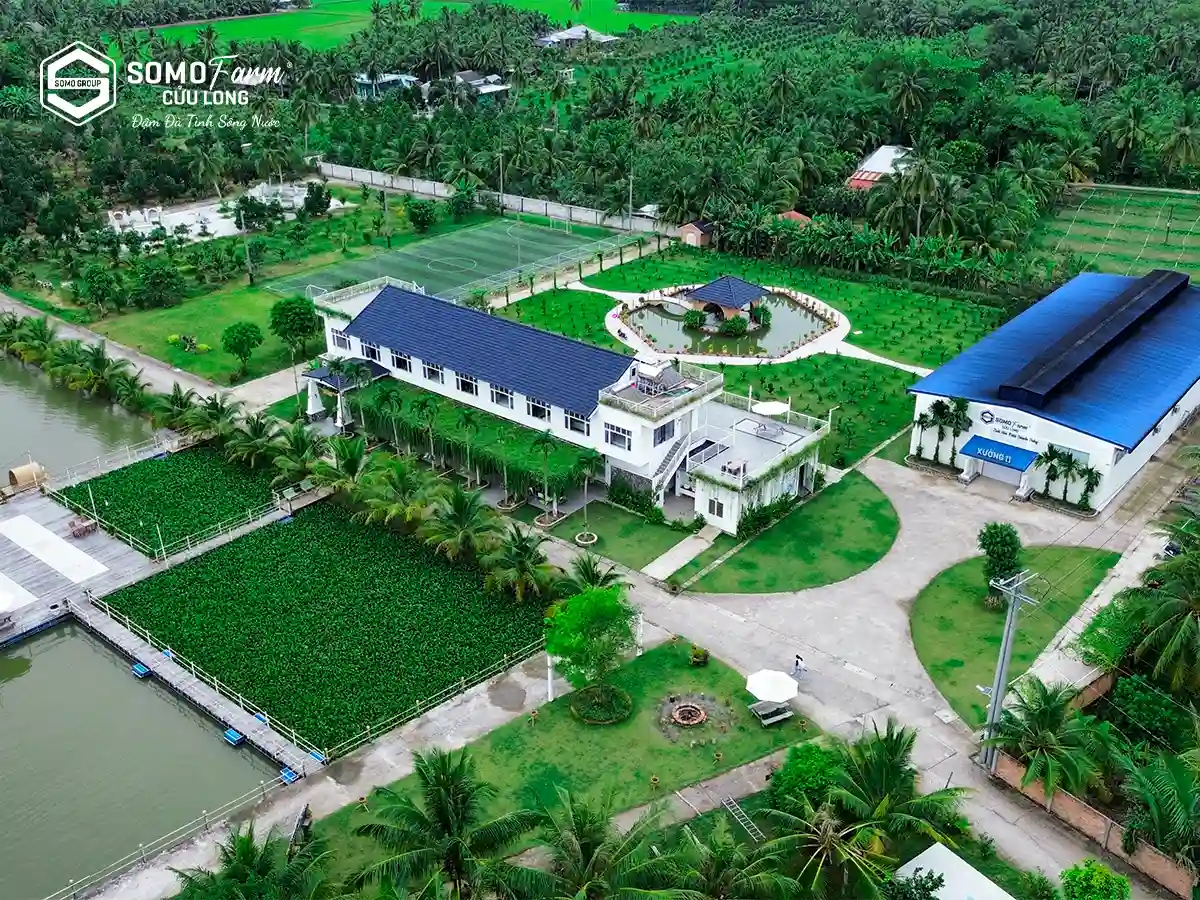 Du lịch gần sài gòn: Somo Farm Cửu Long