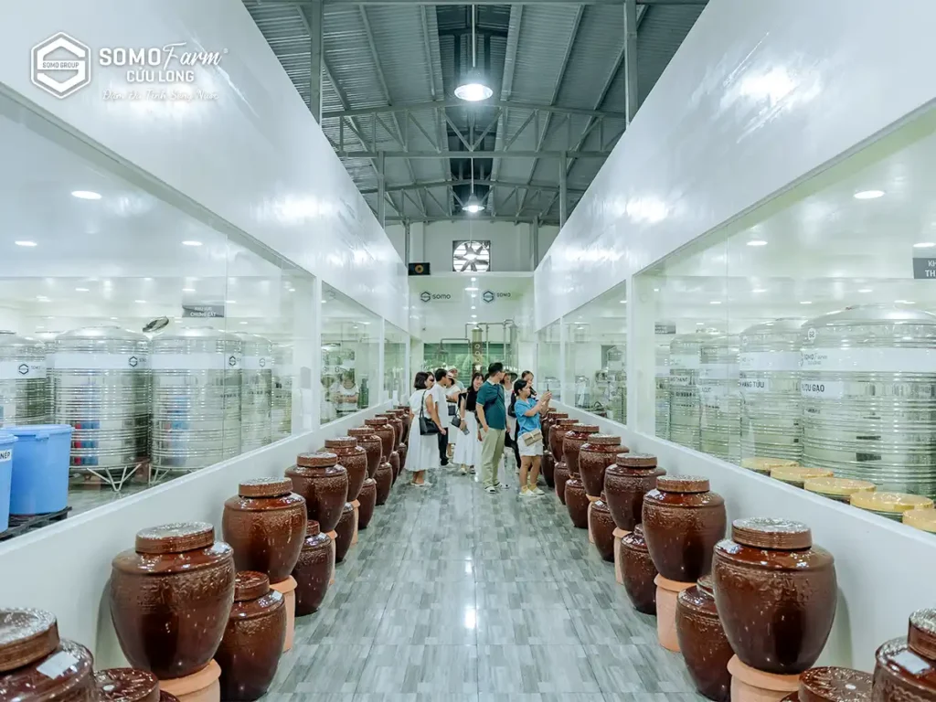 Khám phá xưởng rượu Somo Farm Cửu Long