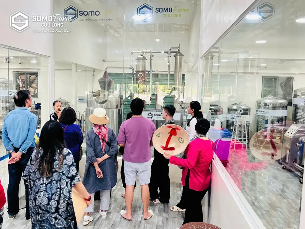 Khám phá xưởng rượu Somo Farm Cửu Long
