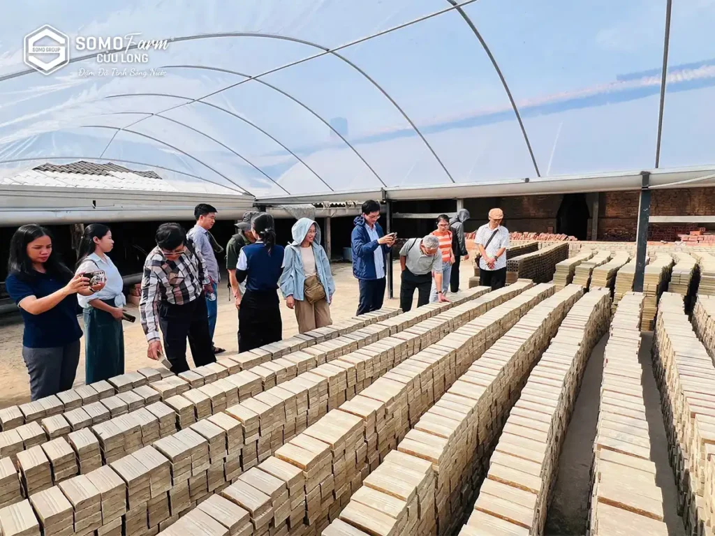 hoạt động sinh thái tại Somo Farm Cửu Long